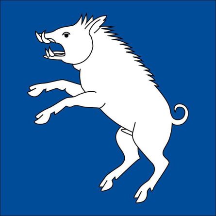 Berg Am Irchel flag